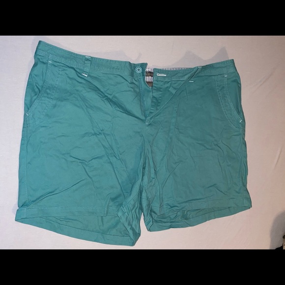 Natural Reflections Canvas Shorts Plus size 3x Teal - Picture 1 of 1